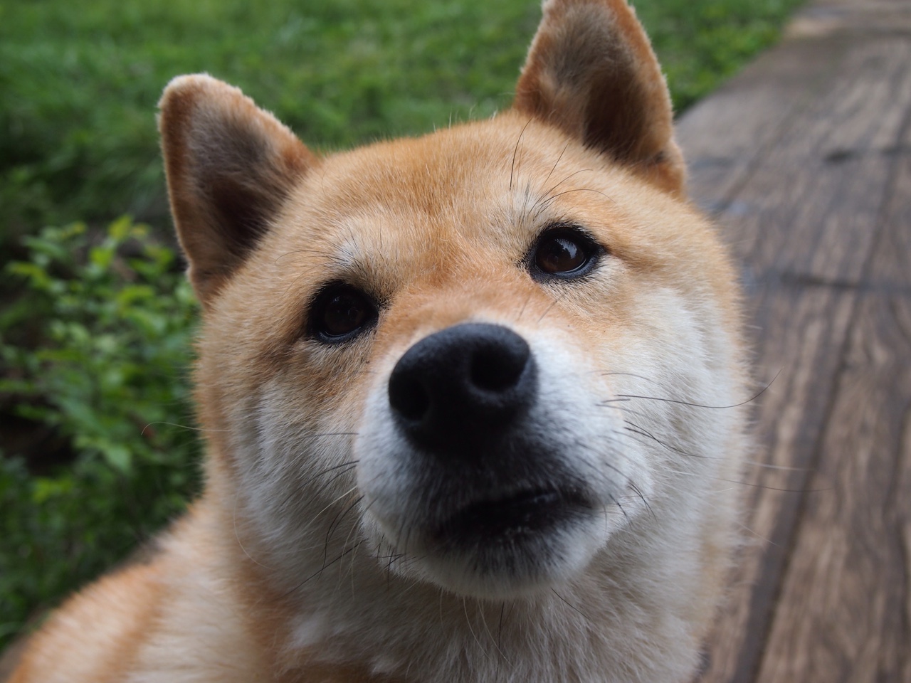 kaiyun中国官方网站-某队连败收官,球员反思总结经验!,连败两场