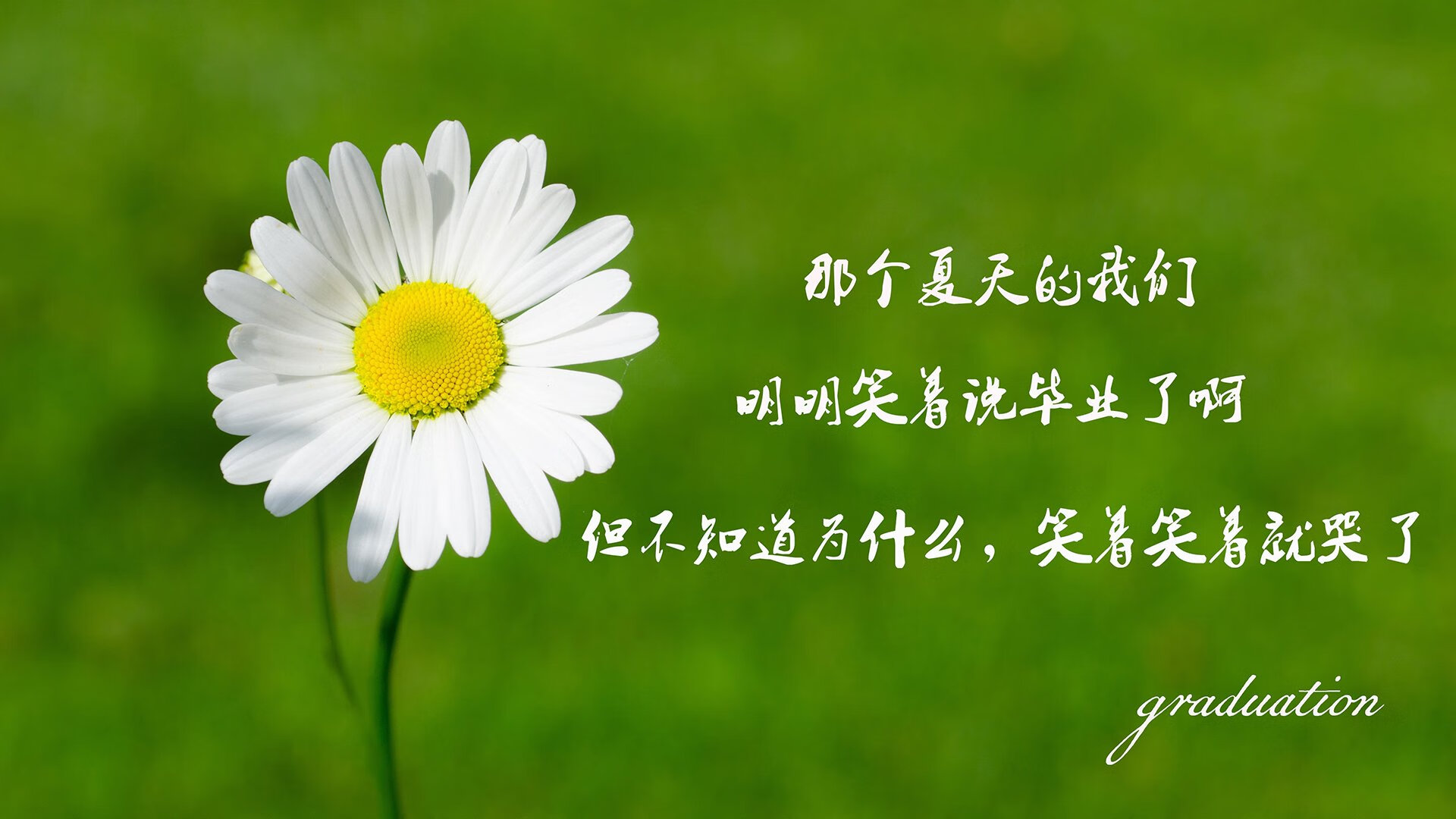 开云体育官方网入口-王者归来！美洲杯女足比赛，巴西决赛胜者问鼎，美洲杯决赛巴西队