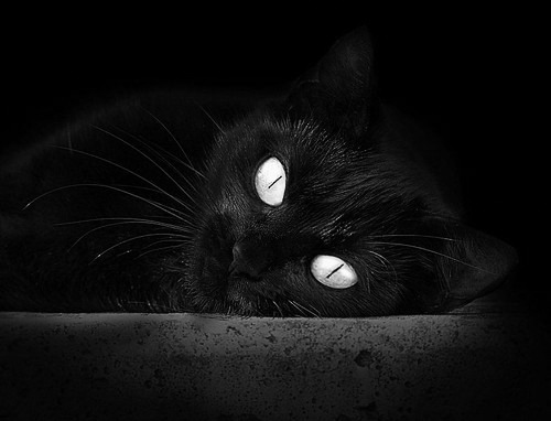 开云网页版登录入口-中国三人篮球男队战术多变 应对强敌挑战，中国男子三人篮球战绩