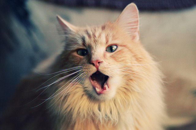 开云-电竞主题小说动漫涌现产业生态持续拓展，电竞小说改编的动漫