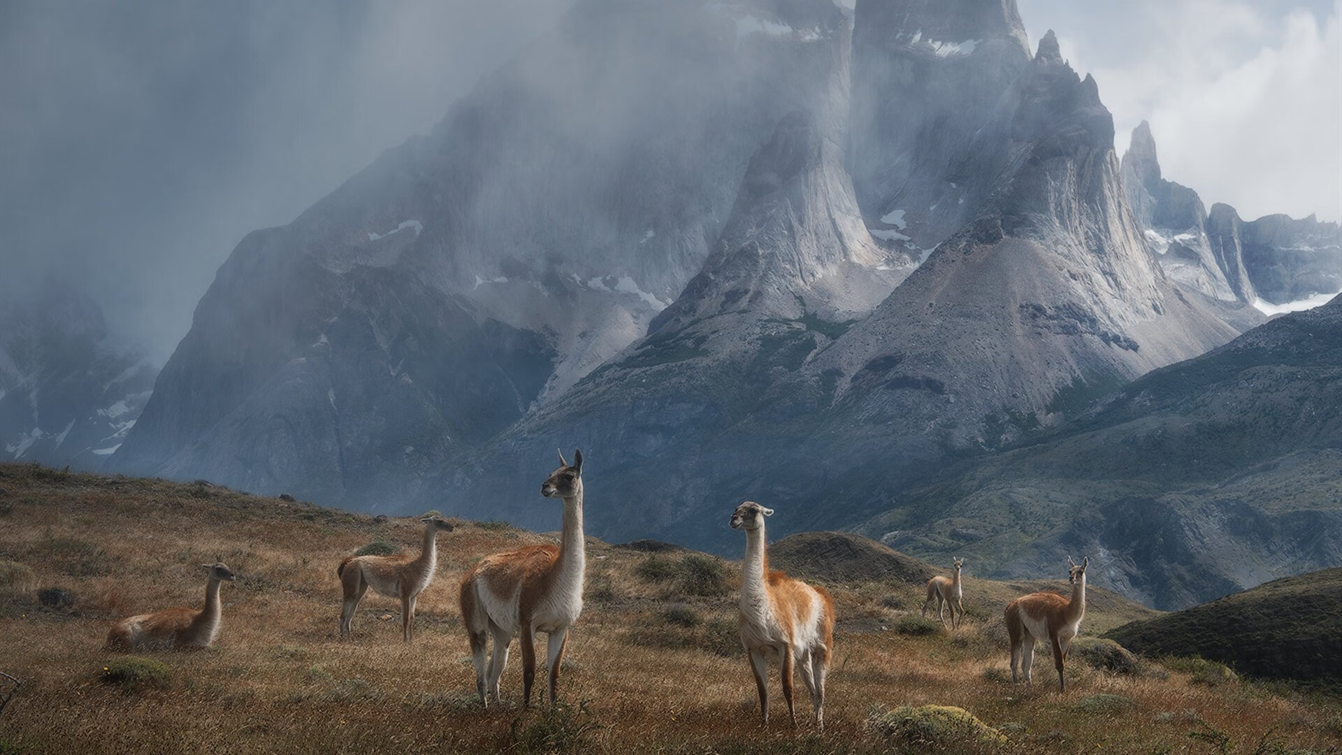 kaiyun官方入口登录-男子蛙泳前三米数据大揭秘，男子蛙泳100m