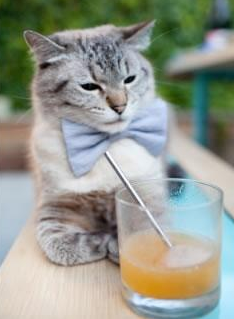 开云官网登录-职业球员体能测试标准不一致，职业球员体能测试标准不一致怎么办