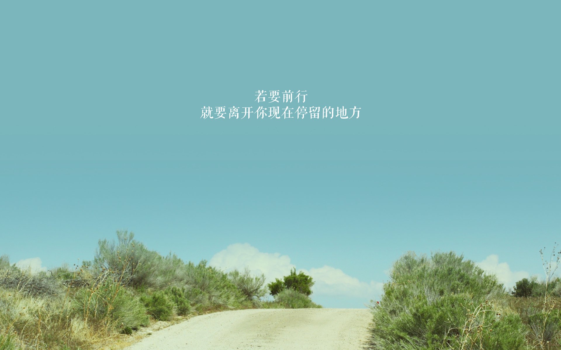 开云体育APP下载-南非男队自由泳再创佳绩，南非游泳金牌