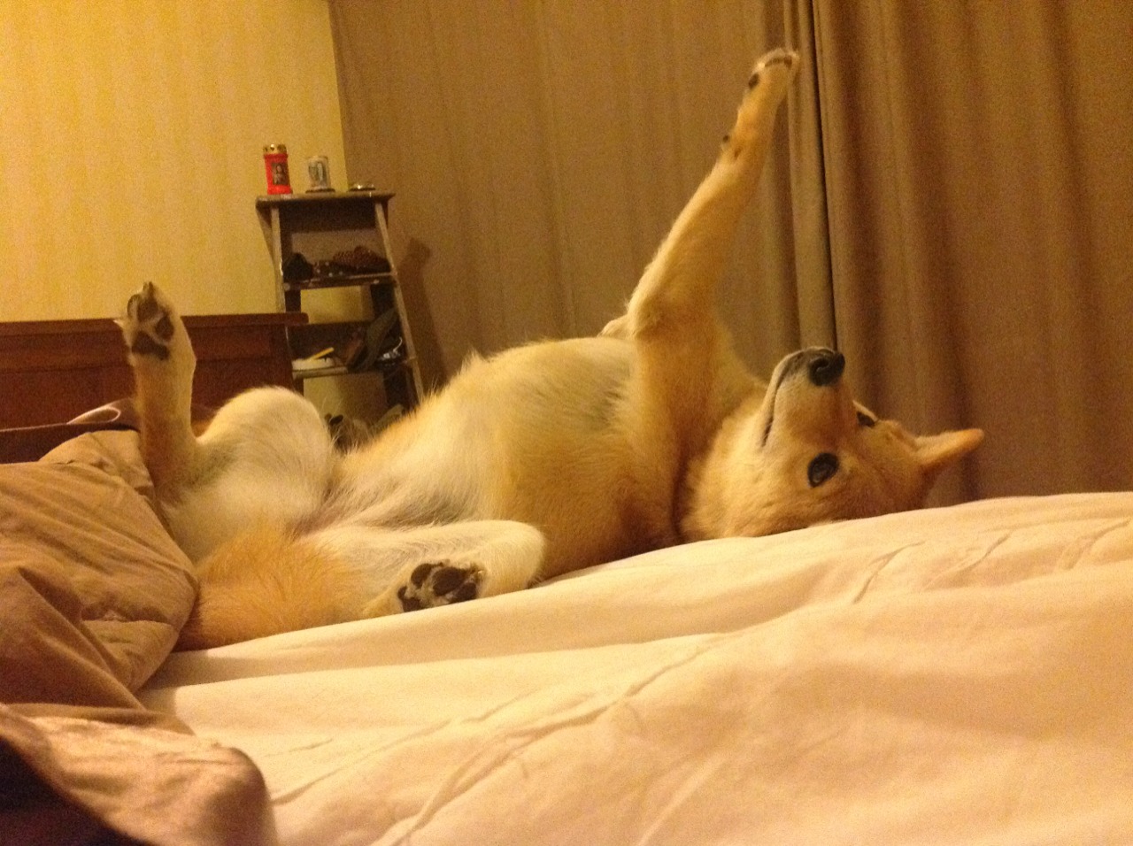 开云网页版-国家冰壶队发布赛事邀请函及参赛队伍名单，2022冰壶比赛项目