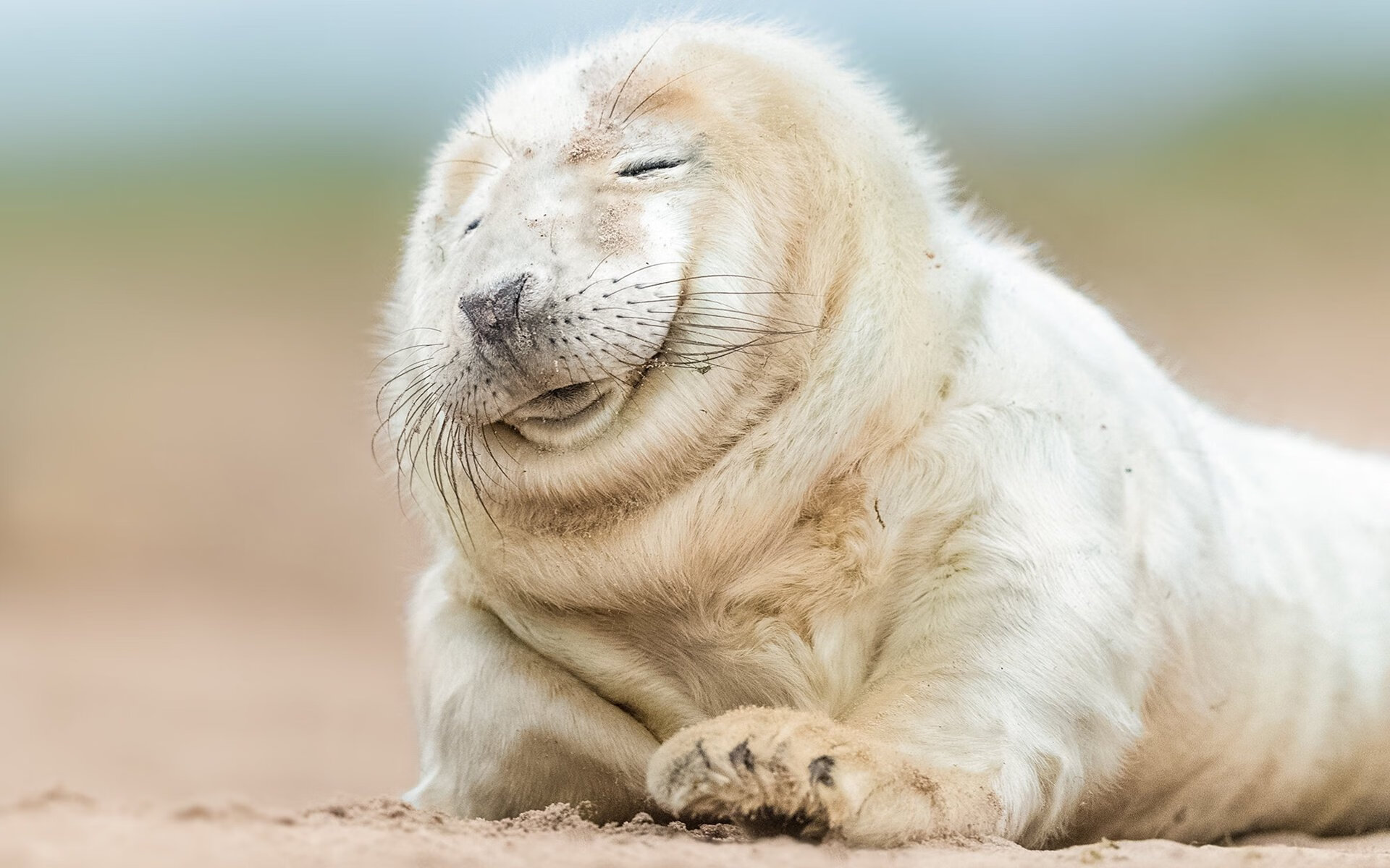 开云下载-希腊女篮在欧洲锦标赛中奋勇争夺，续写辉煌传统，希腊女球迷