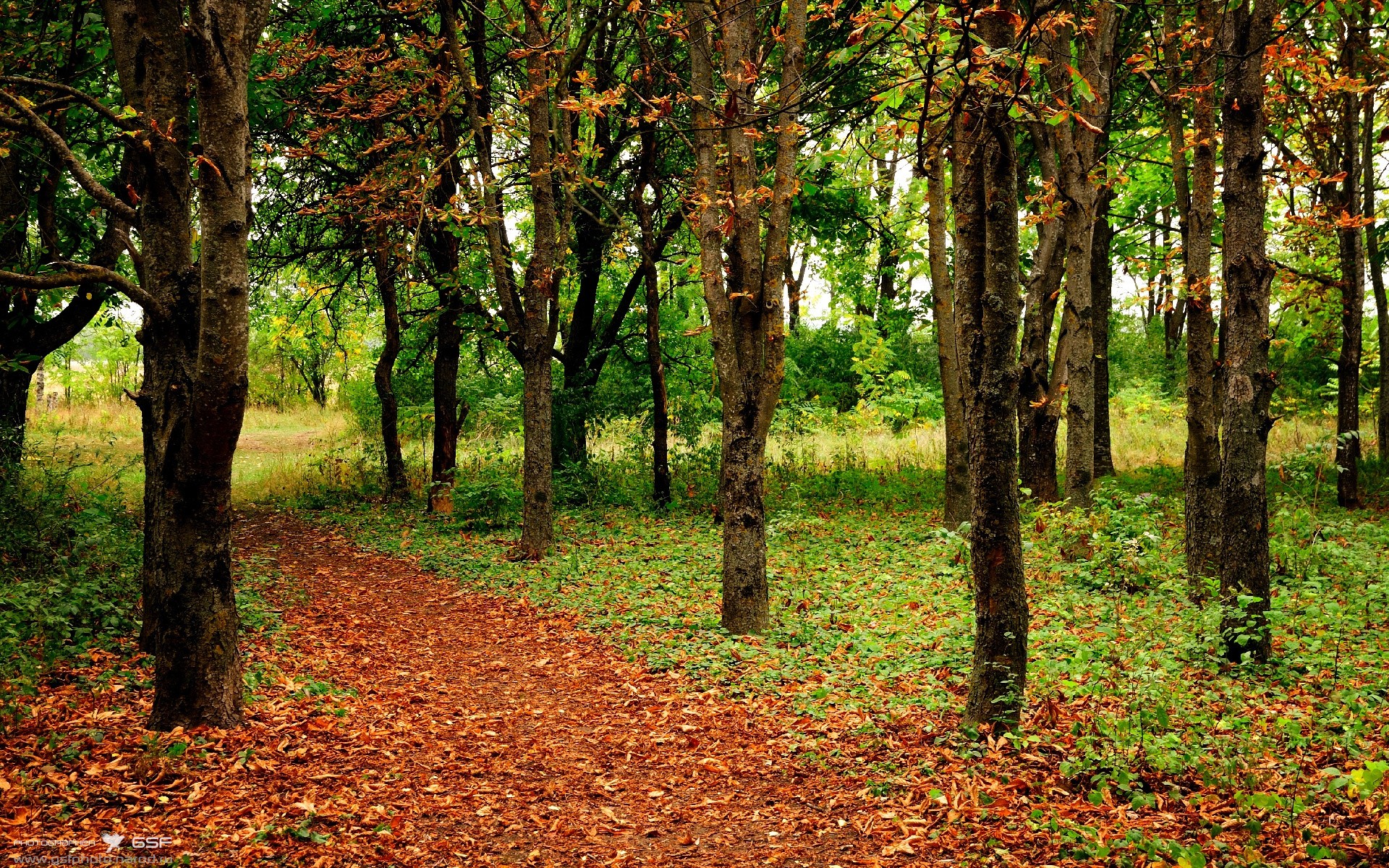 开云平台-美洲杯明星云集：欢呼声不断！，美洲杯选手