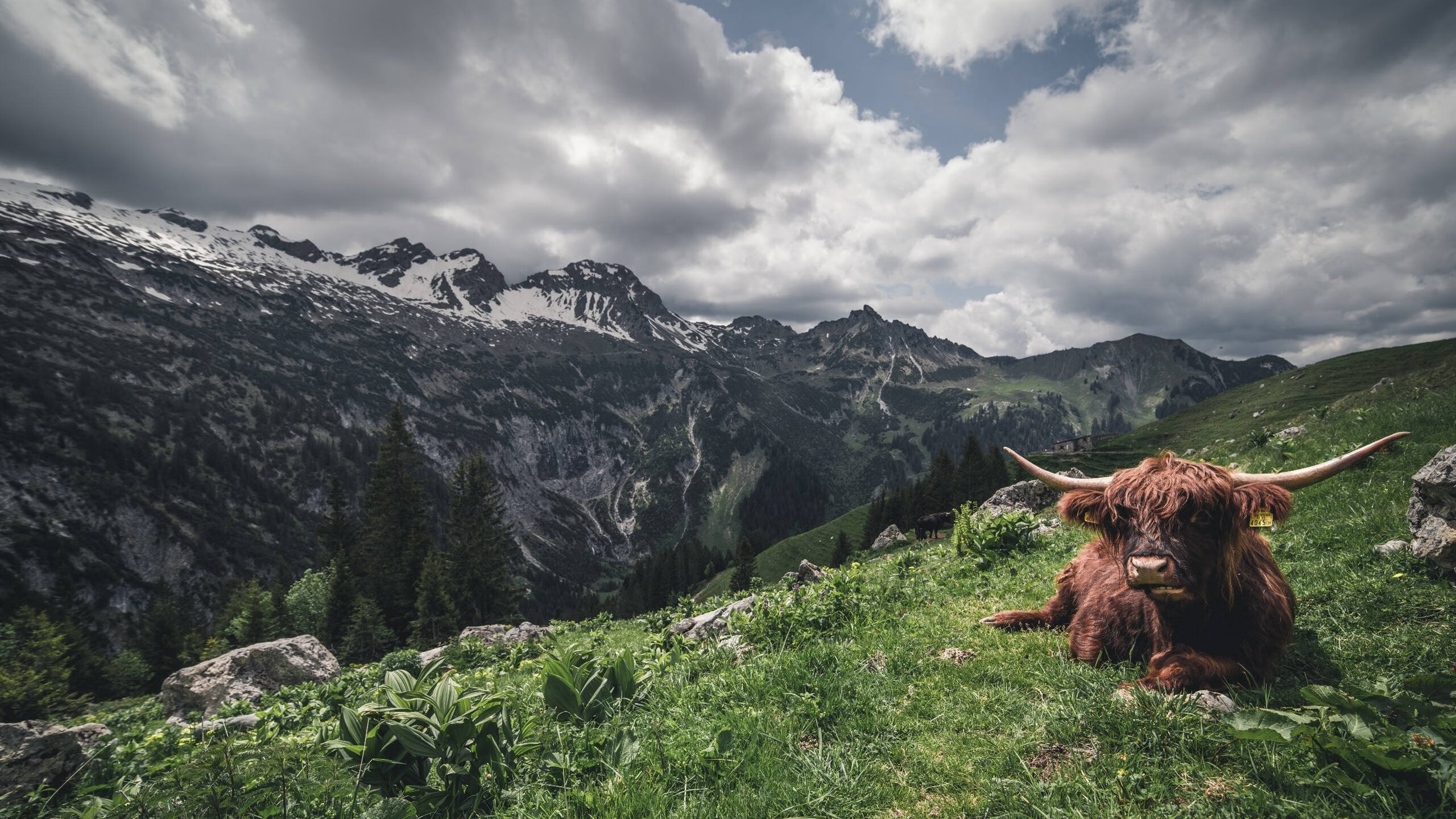 开云官网-赛后评分模型细化多项指标推动客观评价体系向精准方向演进