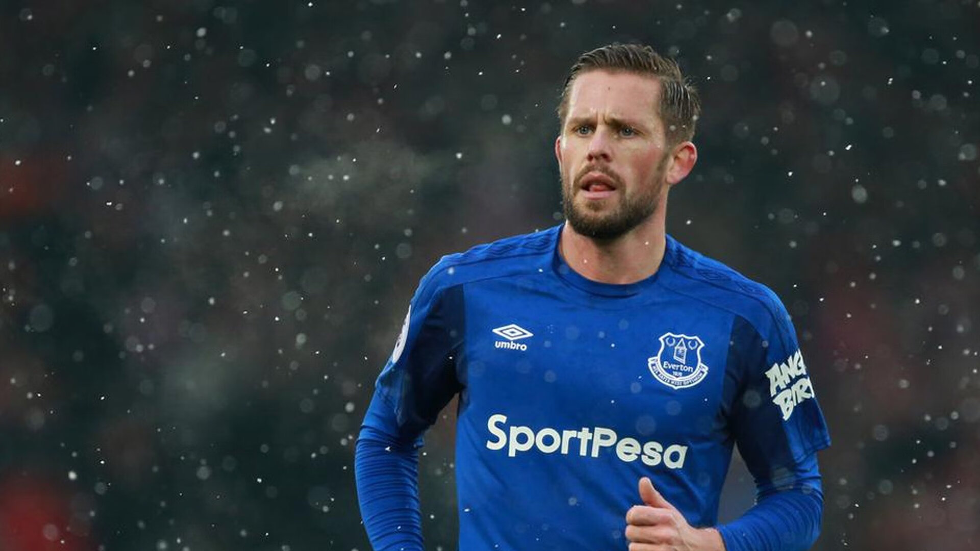 “德甲最后冲刺：争冠队伍形势逐渐明朗”，德甲最后一轮看点